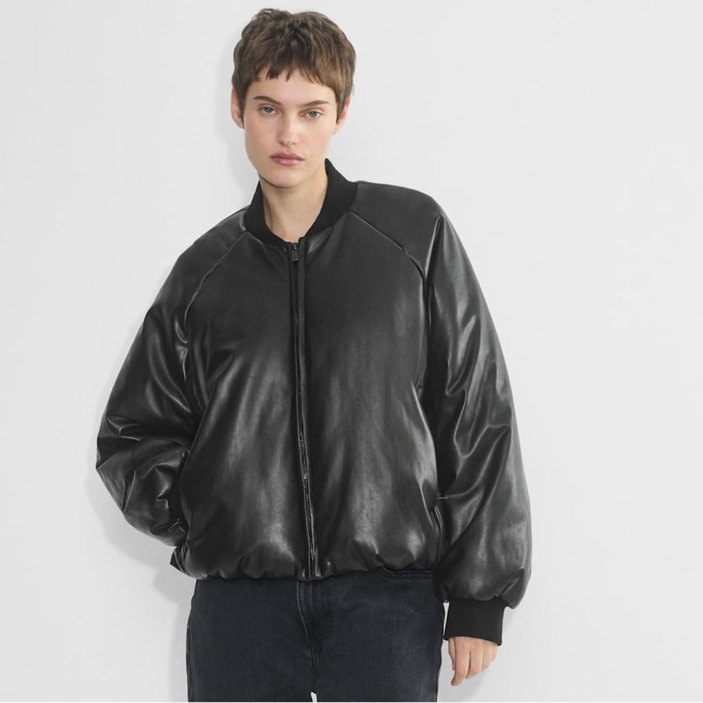 Aritzia babaton billboard puffer jacket